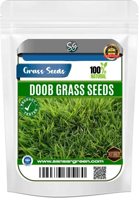 Sansar Green Doob Grass Seed Price in India - Buy Sansar Green Doob ...