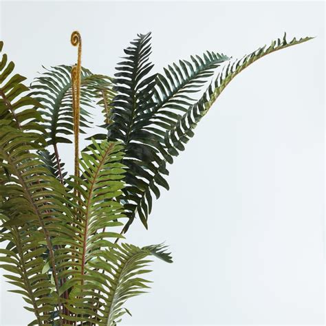 Buy Gardenia Fern Artificial Plant in Ceramic Pot from Home Centre at ...