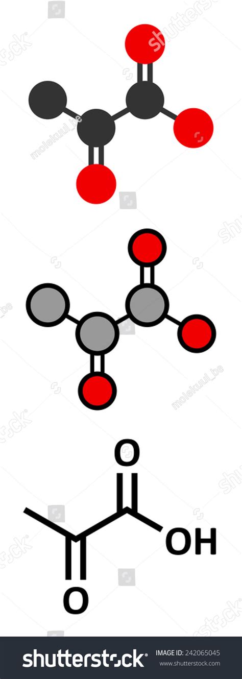 Image result for Pyruvate Molecule