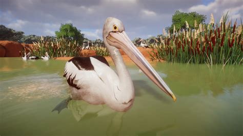 Image result for Minecraft Planet Zoo Mod