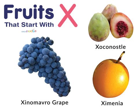 Fruits That Start with X - A Unique and Exciting Exploration