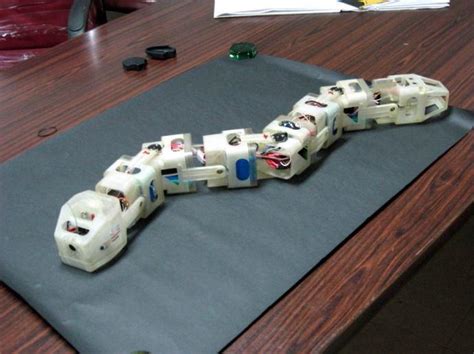 Serpentine Robot | CSIR-Central Mechanical Engineering Research Institute