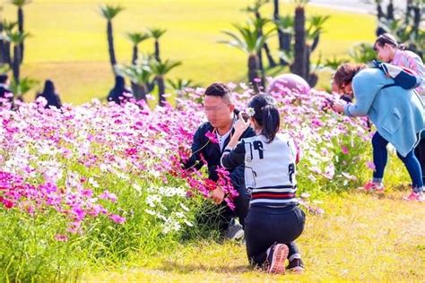 中国游客在日本踩踏花草，被日本网友吐槽 - 壹读