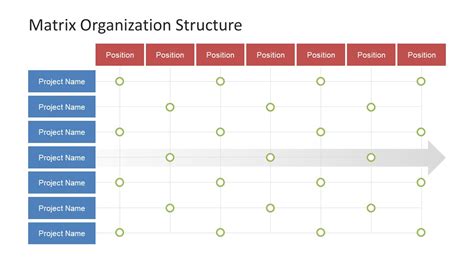Image result for Matrix Organization Structure