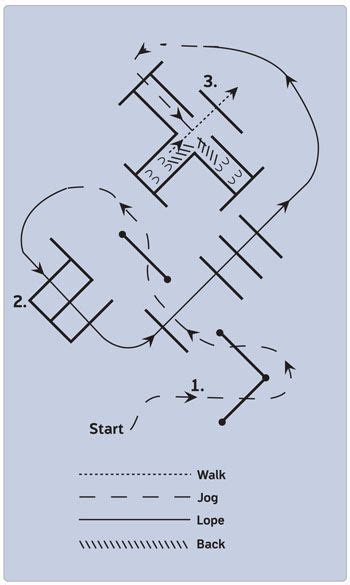 In Hand Trail Patterns 的图像结果