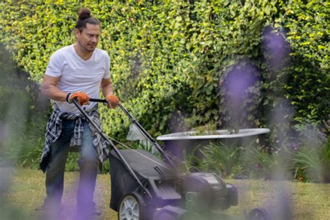 90+ Mexican Lawn Mower Stock Photos, Pictures & Royalty-Free Images ...