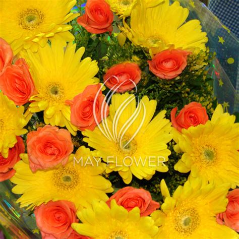 Rose Gerbera Hand Bunch – May Flower