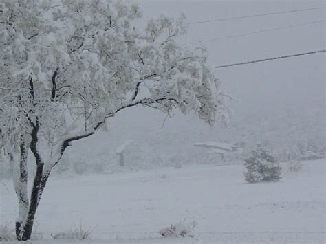 Heavy Snow, November 22 and 24