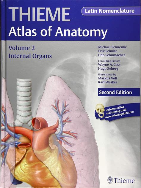 Buy Internal Organs (THIEME Atlas of Anatomy), Latin nomenclature Book ...