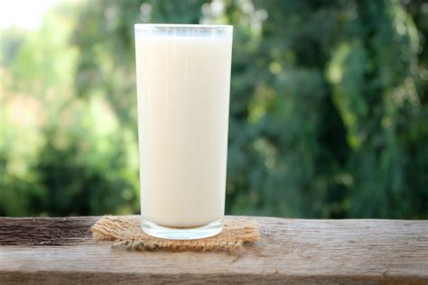 3 Makanan ini Tidak Boleh Dikonsumsi Bersama Dengan Semangka - Madingmu