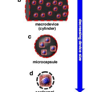 Image result for Over Encapsulation Procedure