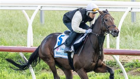 2022 Melbourne Cup Day Field Complete Form Guide betting runners tips ...