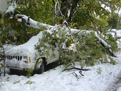 Storm Stories 2006 的图像结果