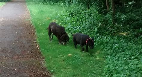 THE SECRET GARDEN - OLD WOLVERTON (2026) All You Need to Know BEFORE ...