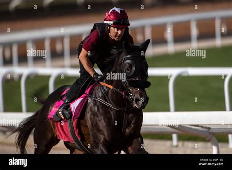 Imagination Guts It Out in the Riyadh Dirt Sprint