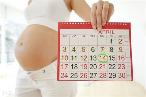 怎么计算预产期和怀孕周期表（孕妇预产期的推算及孕期分期你会吗？医生教给你） | 说明书网