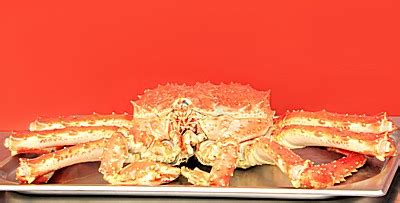 美味巨大帝王蟹高清图片下载 高清图片下载-找素材网