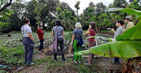 Thailand Local People 的图像结果