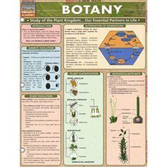 Botany 的图像结果