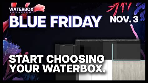 Image result for Fun Box Bluewater