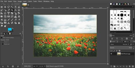 GIMP Photo Editor Tutorial 的图像结果