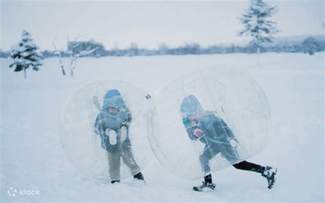 Hokkaido Bibai Snow Land One-Day/Half-Day Experience - Klook India