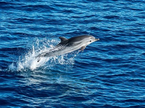 10 Best Day Trips in Mallorca with Kids - Hellotickets