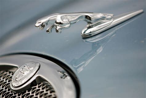Can you guess the car logo?