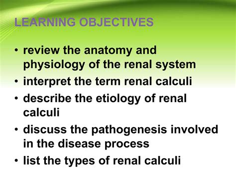 Renalcalculippt | PPT