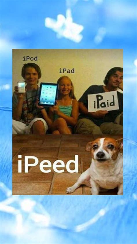 Pin by Gia Phillips on My Shuffles | Funny animal quotes, Crazy funny ...