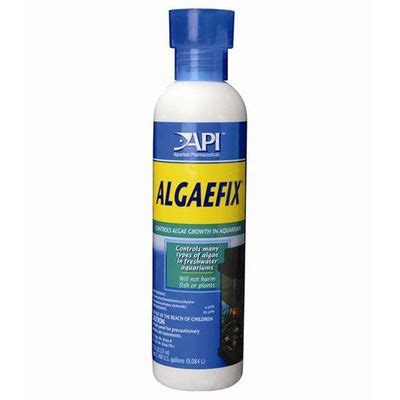 Image result for How to Use API AlgaeFix