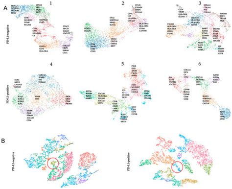 Spatial Profile of Tumor Microenvironment in PD-L1-Negative and PD-L1 ...