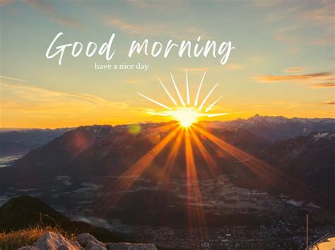 Morning Routine for Vacation 的图像结果