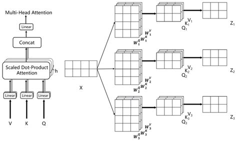 Segmentation Head Networks with Harnessing Self-Attention and ...