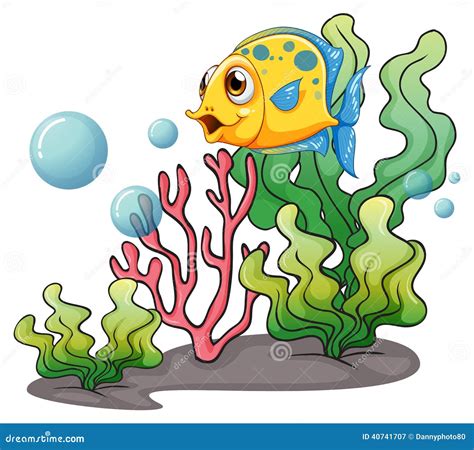 Sea Weeds Clipart