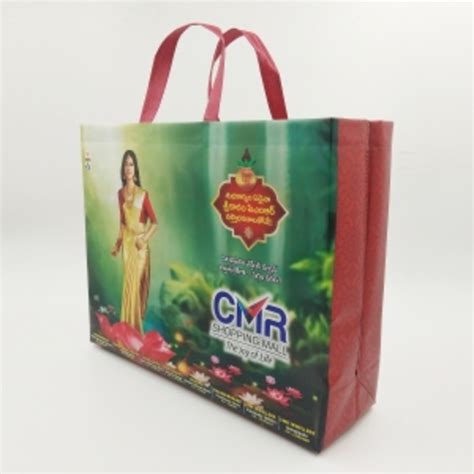 CMR Eco Friendly Shopping Mall Bag | Bagsguru