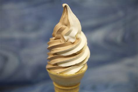 Chocolate Vanilla Swirl Soft Serve Ice Cream Delaware - Ice Cream Delight