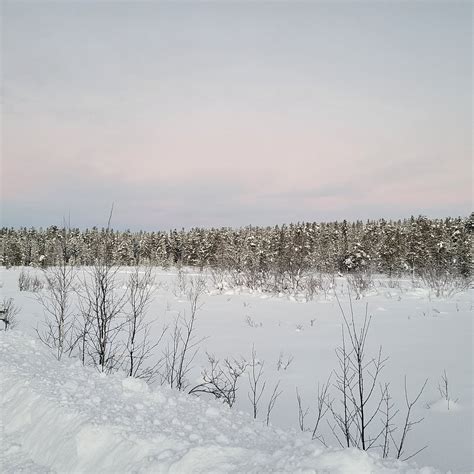 Q5 SAFARIS (2025) All You Need to Know BEFORE You Go (with Photos ...