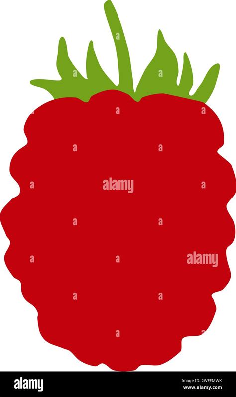 Image result for Raspberry Drawing Vector