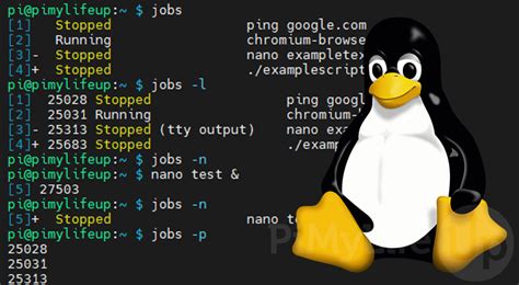How to Run the Job by Using Linux Command 的图像结果