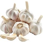 Fresh Garlic (lehsun)