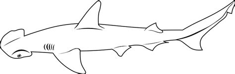 Shark Evolution Script 的图像结果