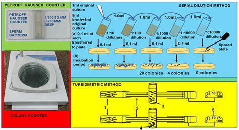 Figure 18.2: Different methods of bacterial counting.