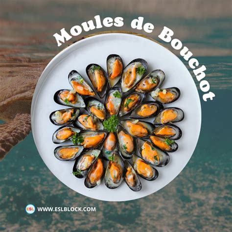 Shellfish Spanish Word at Ruby Black blog