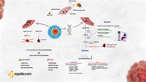 Tumor Lysis Syndrome