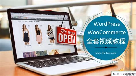 WordPress外贸自建站教程, WooCommerce从零开始2小时自己搭建网上商城和外贸网站, 同一个主题, 不同的真实案例 (2021 ...