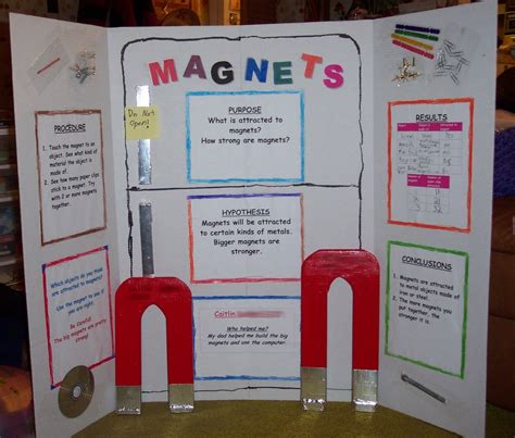 Image result for Library Science Fair Display