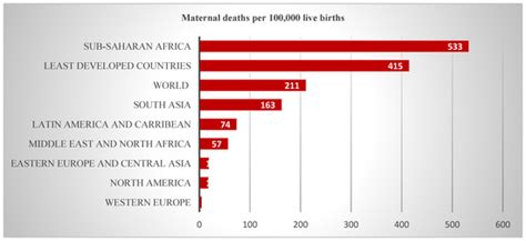 Determinants of Maternal Mortality in Southern Africa: A Macro-Level ...