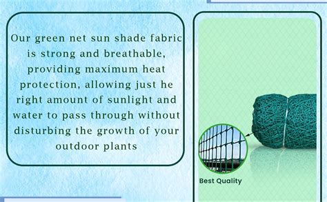 Essoti Monkey Net/Cricket Net/Children Safety net/Nylon - (6X10 FT) -2 ...