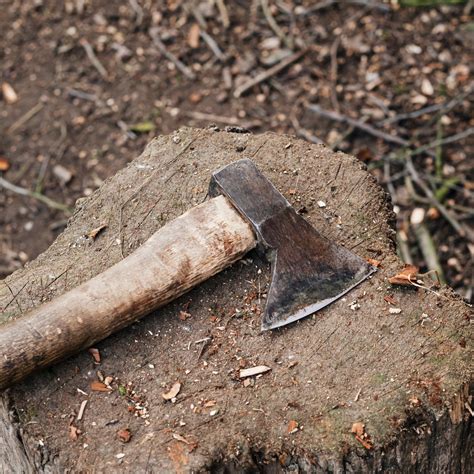 How to Rot Tree Stumps Fast - Backyard University